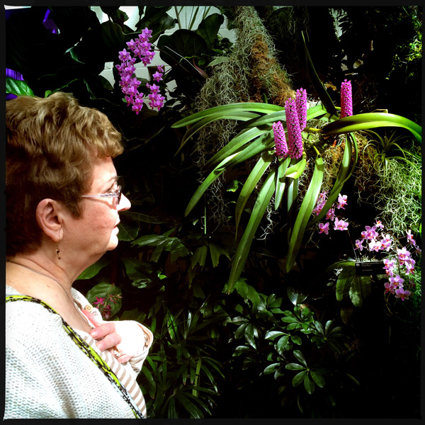mom and orchids