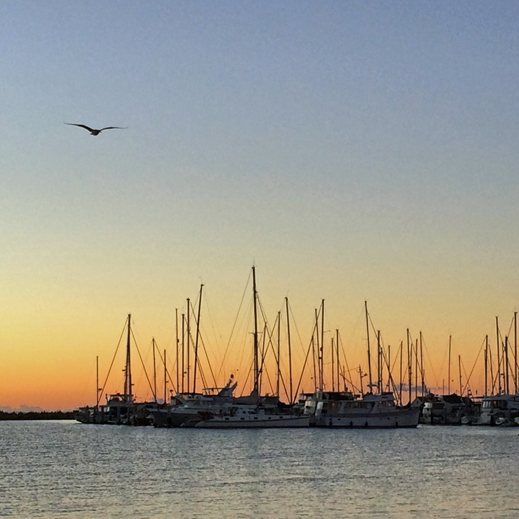 sailboats at sunrise