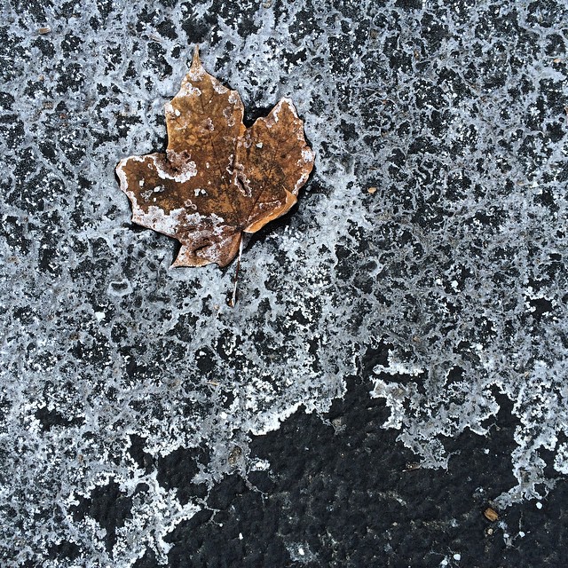 928665_692653750848604_494738287_n