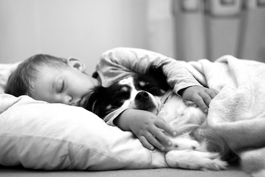 slide_421230_5390088_free