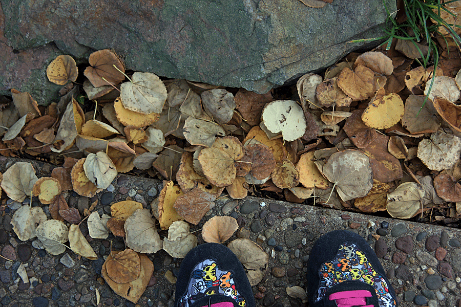 feet-and-leaves