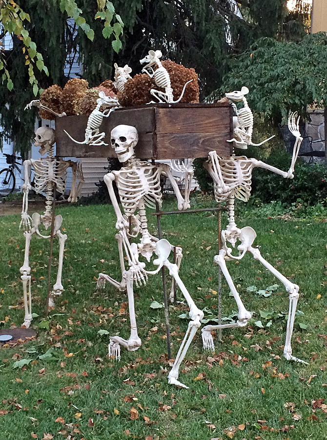 skeletons