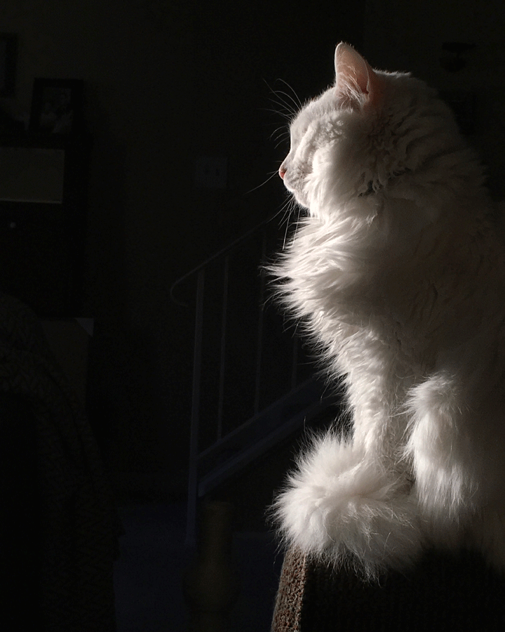 murphy