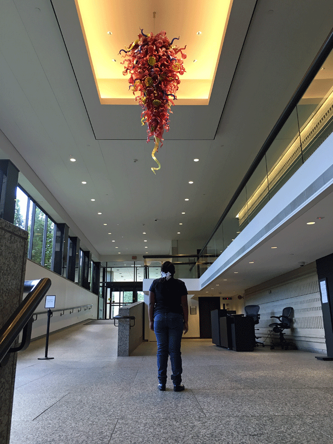 eva-and-chihuly
